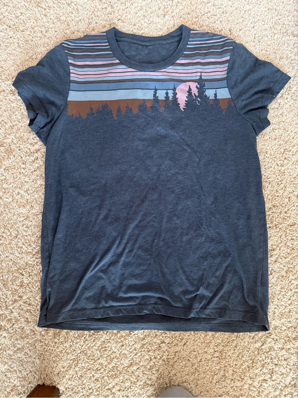 tentree Navy Graphic Tee with Sunset Stripe and Tree Silhouette